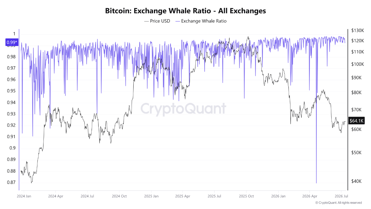 Crypto ETF On-Chain Analysis